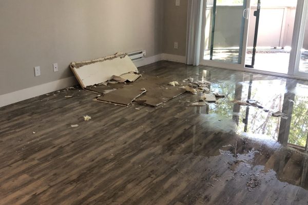 plumbing leak with debris, water damage restoration